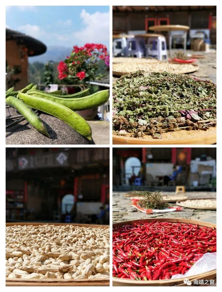 漳州南靖：有一种美，叫秋天的南靖