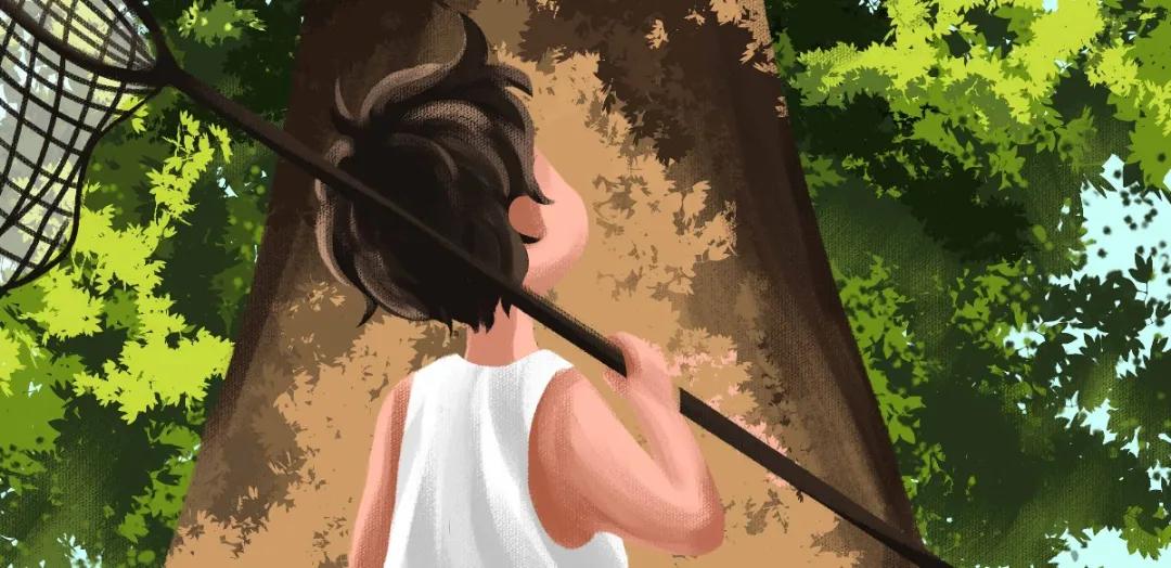 关于诚信的好词好句好段收集90句,关于诚信的一些好词好句好段