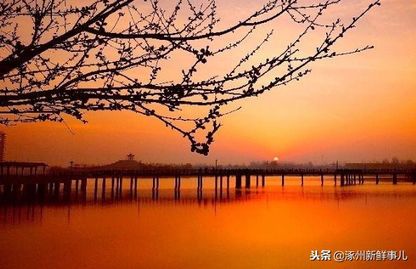 涿州小区最新排名,涿州小区名称都有哪些