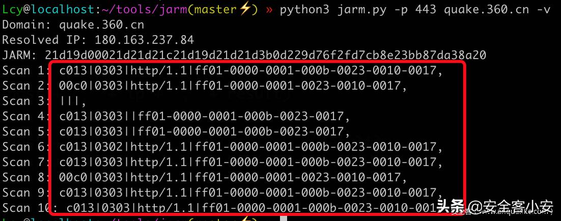 利用JARM指纹进行TLS服务端标记