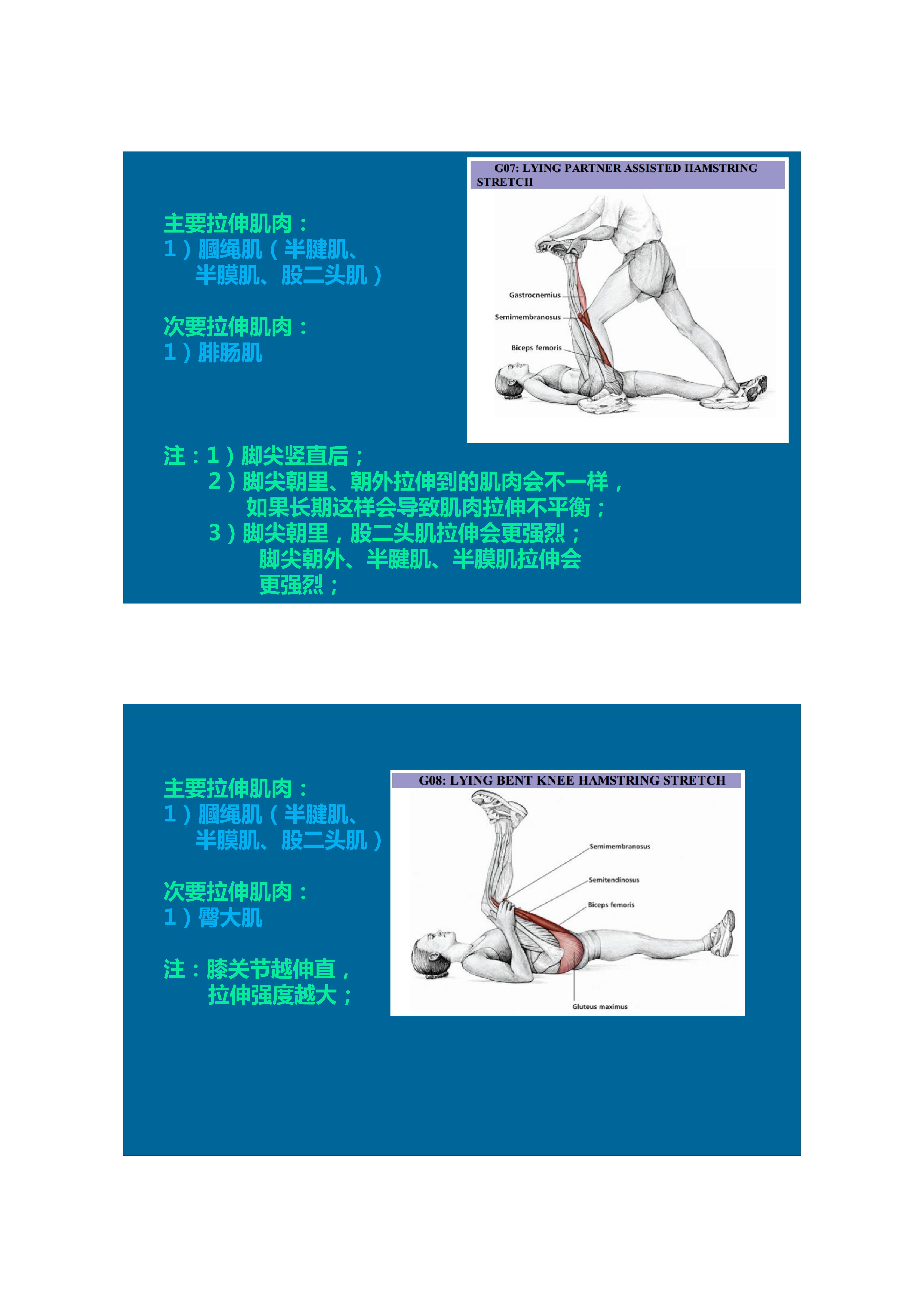 1分钟拉伸动作视频,拉伸腿部技巧