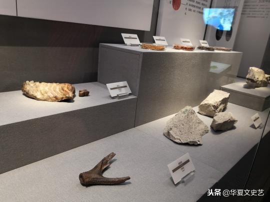 温岭国宝青铜蟠龙盘,温岭博物馆青铜器