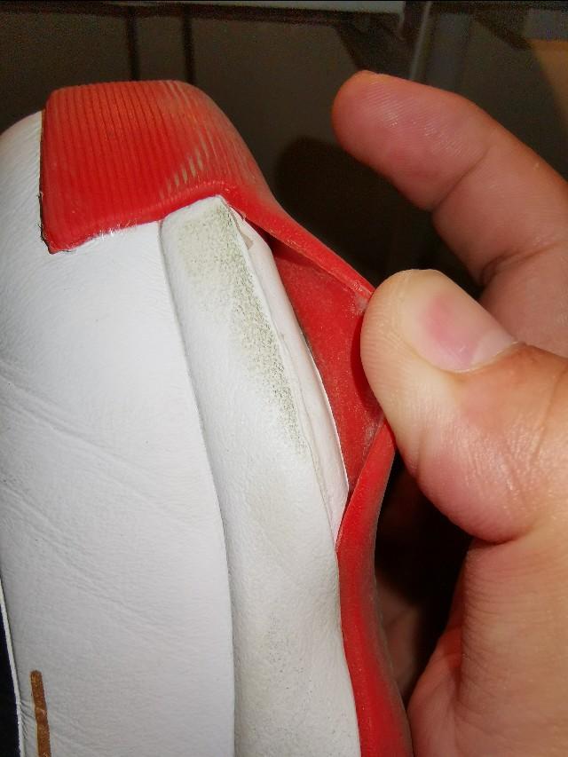 罗斯玫瑰战靴,玫瑰十年