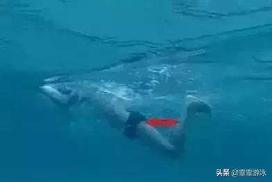 蛙泳收腿时腰部应该如何,蛙泳收腿时为啥脚露出水面