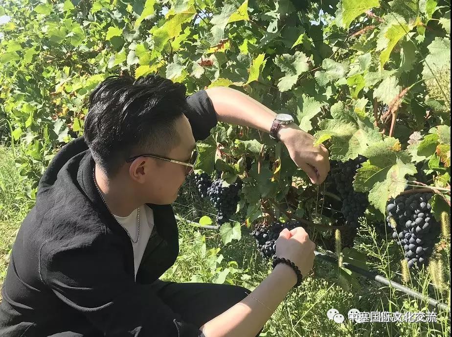 连巨星政要都亲睐的修道院葡萄酒庄你还不赶紧的｜尽在波黑福尔多