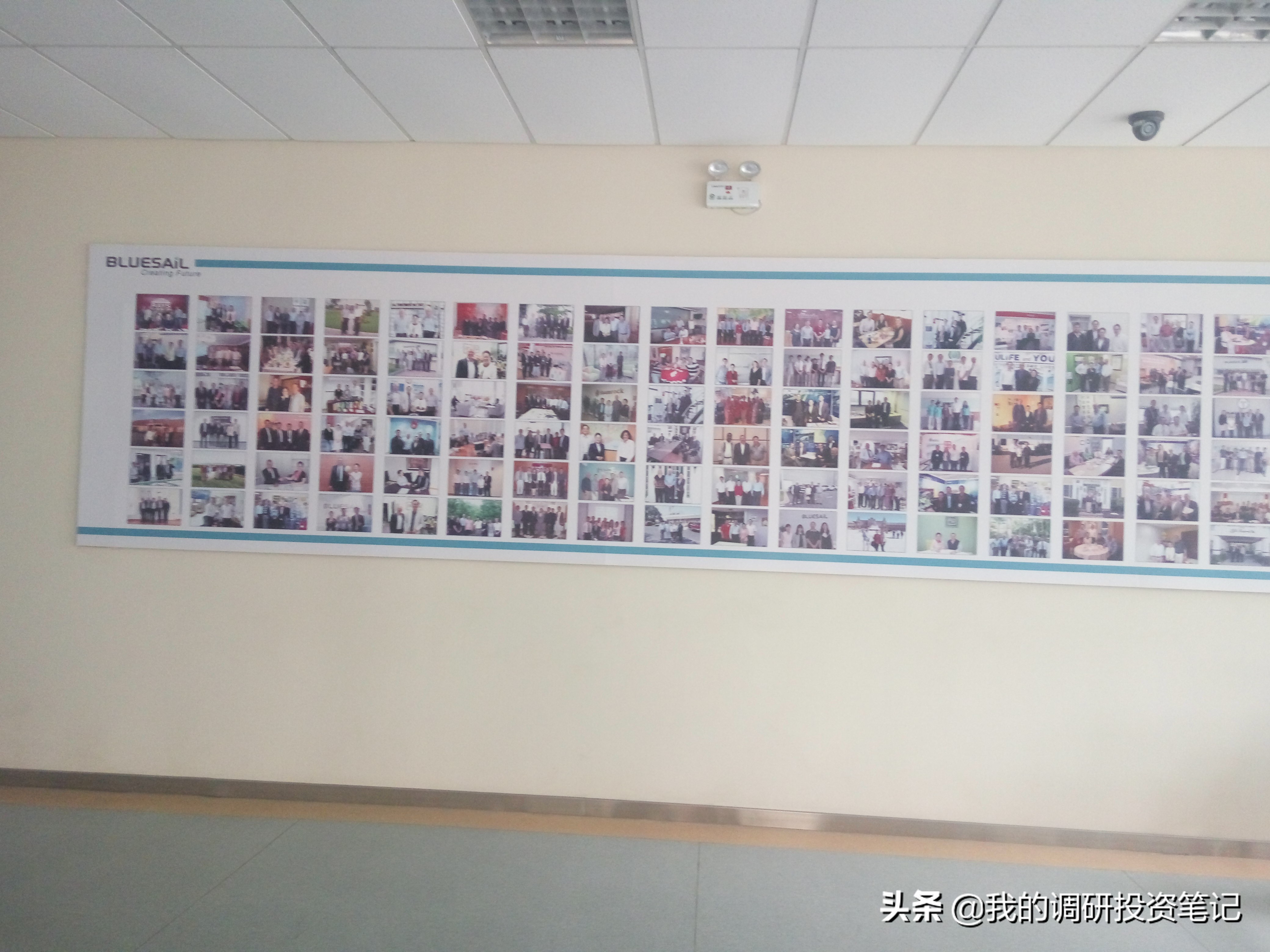 上市公司游记系列：欲往高处走的蓝帆医疗