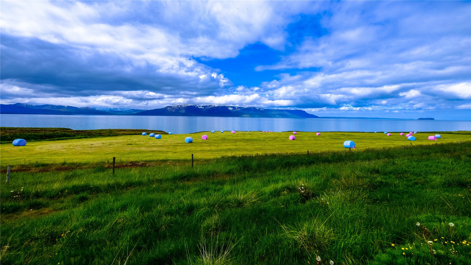 心理学丨连看两周小说后,我感觉自己明显变笨了