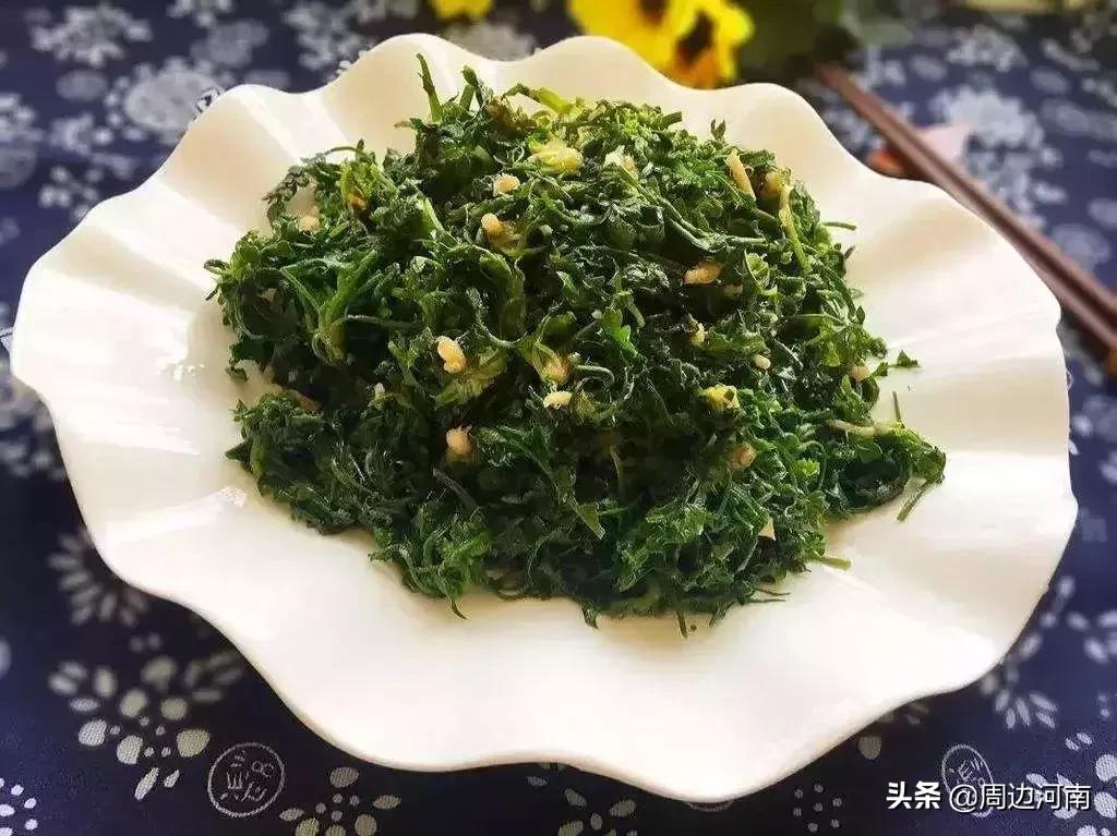 春季野菜大全这些野菜可以吃,春季能吃六种野菜讲解