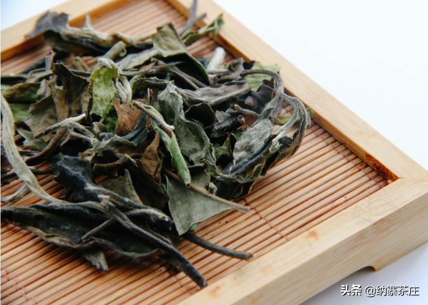 寿眉为什么越喝越好看,低等级的寿眉怎么喝