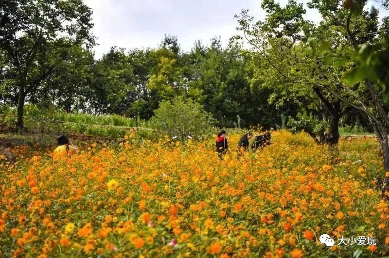 北京亲子游十大酒店推荐,北京比较好的亲子酒店和民宿
