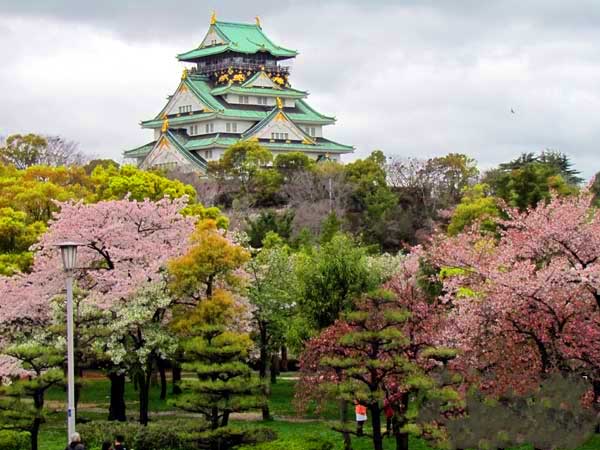 日本琦玉足球小将,北京国安亚冠赛程表