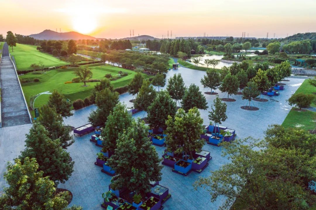 他出生河南，双一流博士毕业，手握国家级荣誉，还是上海市专门引进的人才！