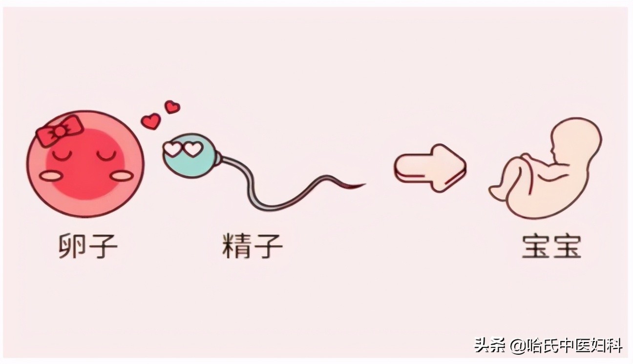 多囊卵巢综合征怀孕多久能测出来,多囊卵巢综合征怀孕了容易流产吗