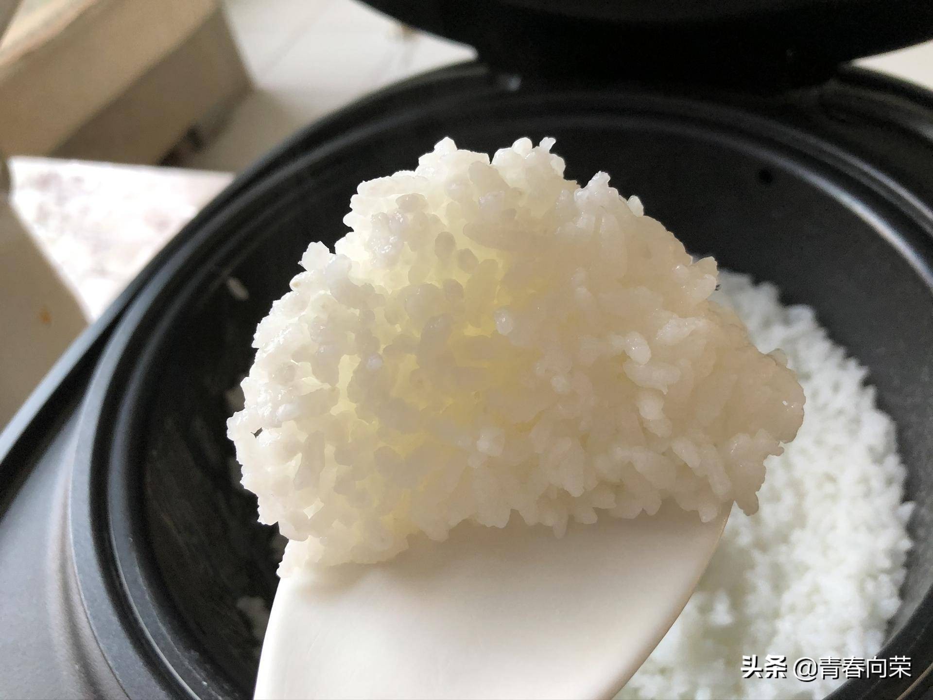 气釜降糖电饭煲使用方法,鼎釜电饭煲的优缺点