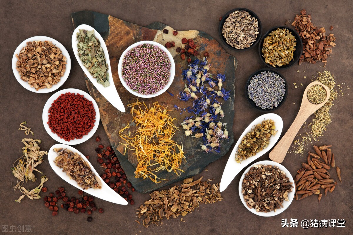 羊痘病正确治疗方法,羊痘病传染