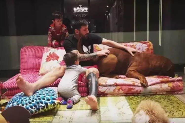 世界足球先生梅西演讲,世界足球先生梅西罗纳尔多