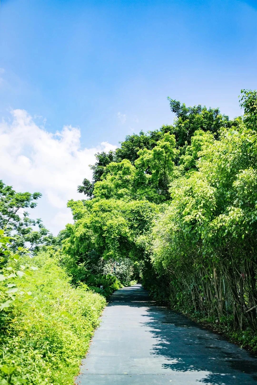 最美湖泊小众风景,最美湖泊西湖