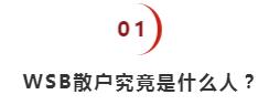 散户血洗华尔街是不是最后亏了,散户血洗华尔街结束了吗