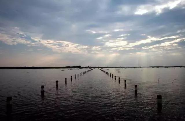 庐山滕王阁一日游最佳路线,江西到河北旅游团