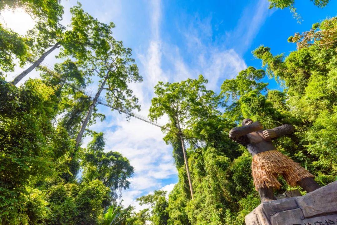 向往的生活第四季西双版纳第一集,向往的生活第四季西双版纳拍摄地