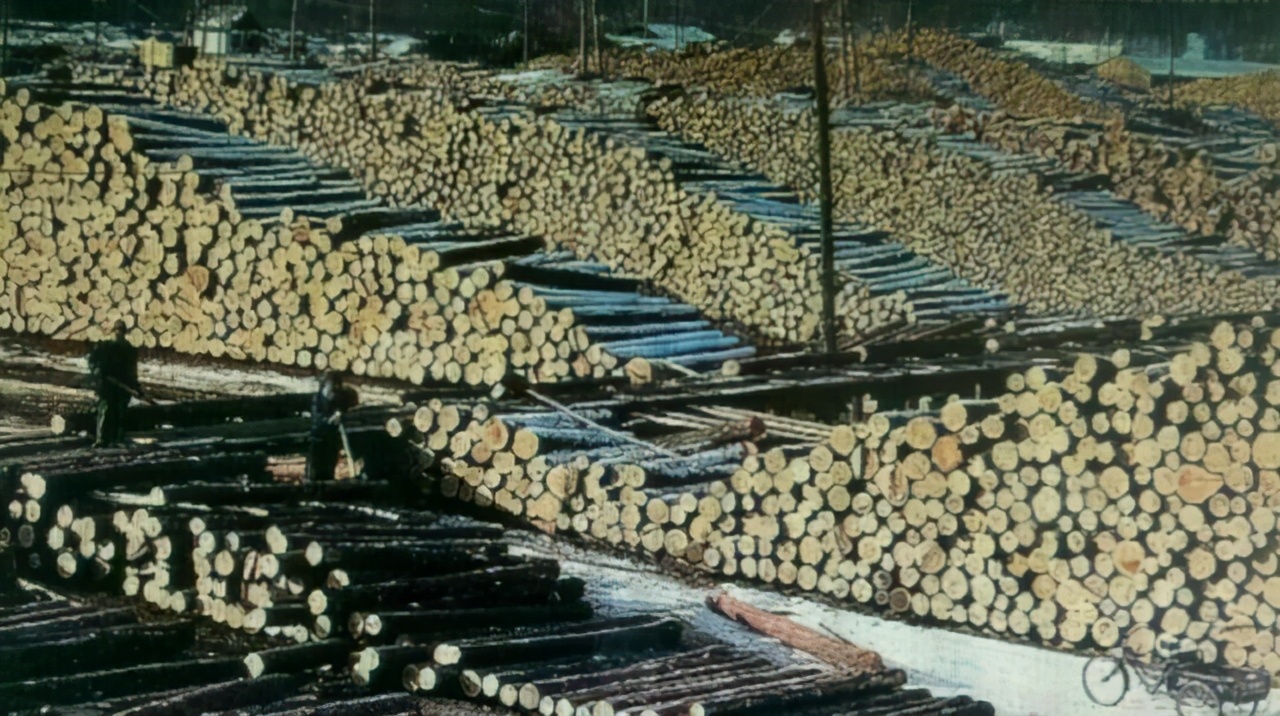 一九八七大火灾原因,回望火灾