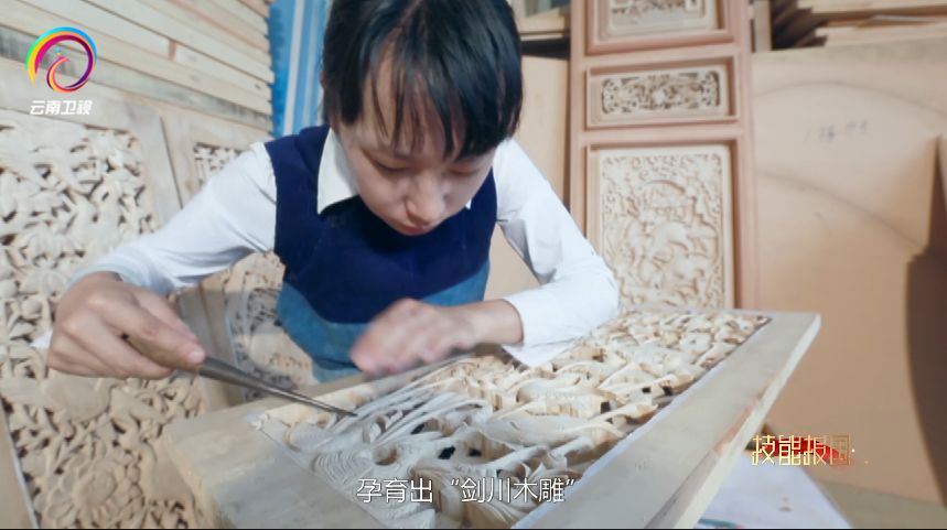 技能报国云南卫视回看,技能报国系列专题片