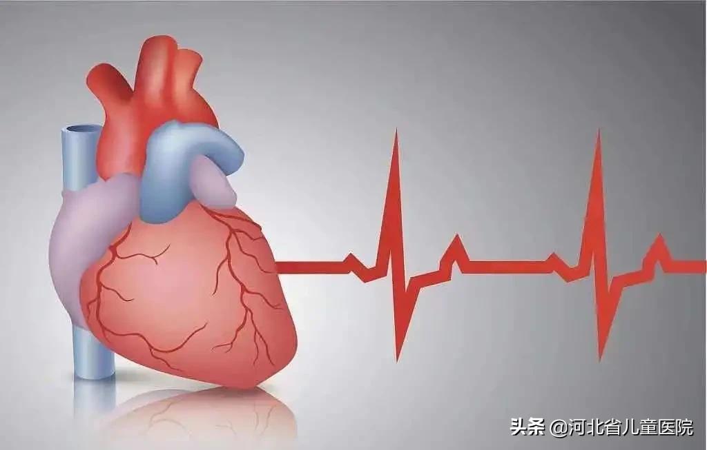 我的心脏砰砰跳400字作文,我的心脏砰砰跳儿歌