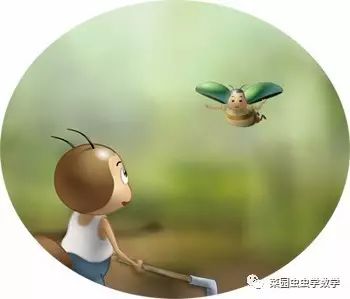 菜园虫虫学数学：伪装者（时间与行程）