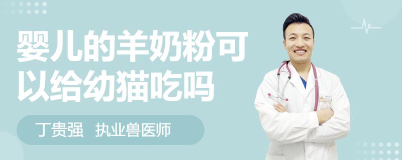 婴儿羊奶粉可以给幼猫吃么,小孩喝的羊奶粉可以喂幼猫吗