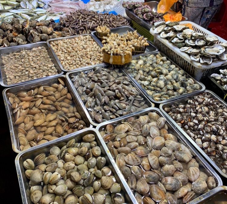 在三亚度假的日常生活,三亚度假旅游感受