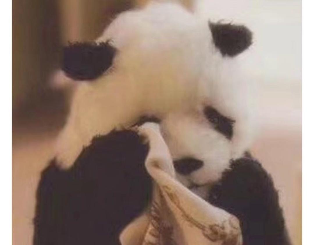 眼科医生和影像医生哪个好,真正的眼科医生