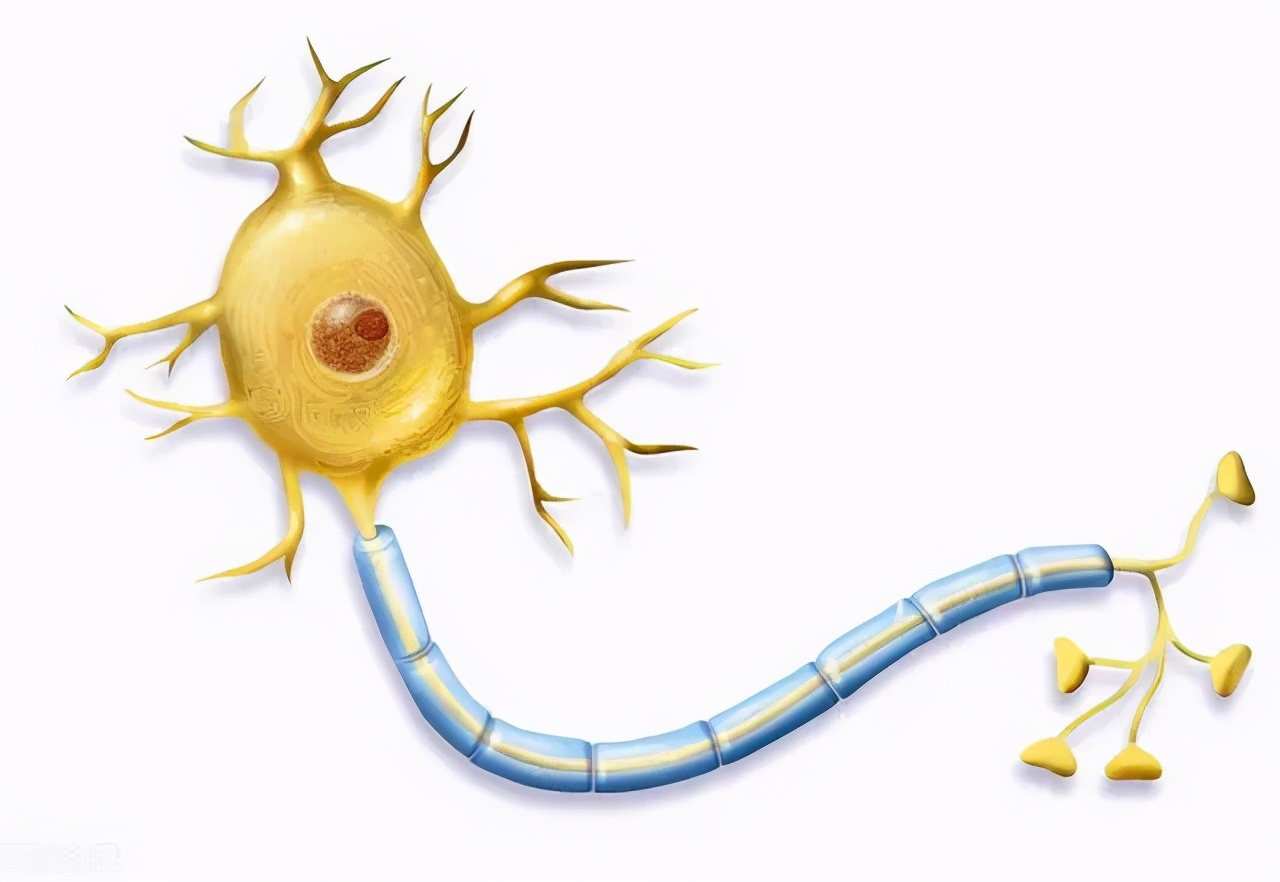 忽然右脸麻听力下降什么原因,面部一侧麻木视力模糊是什么原因