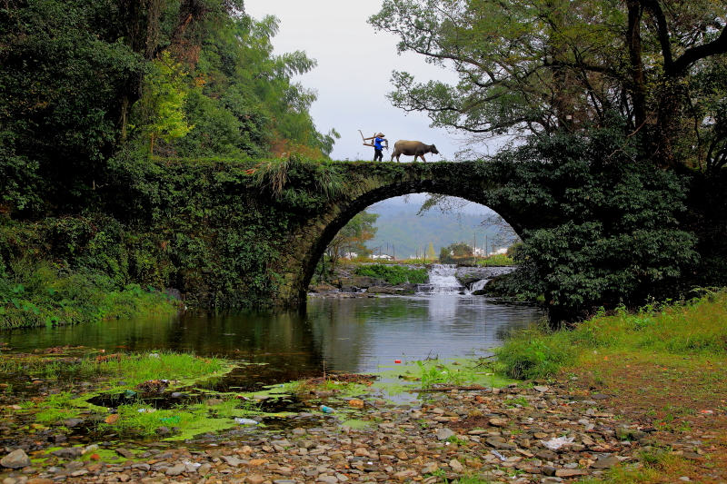 乡土散文一句话,乡土散文水乡农家