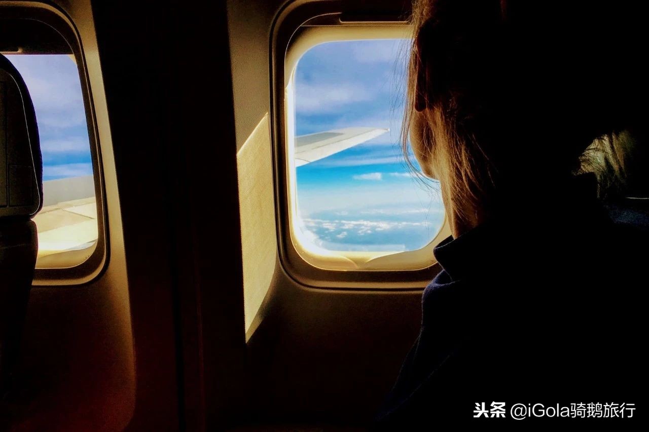 廉航低成本航空,廉航与普通航空选择