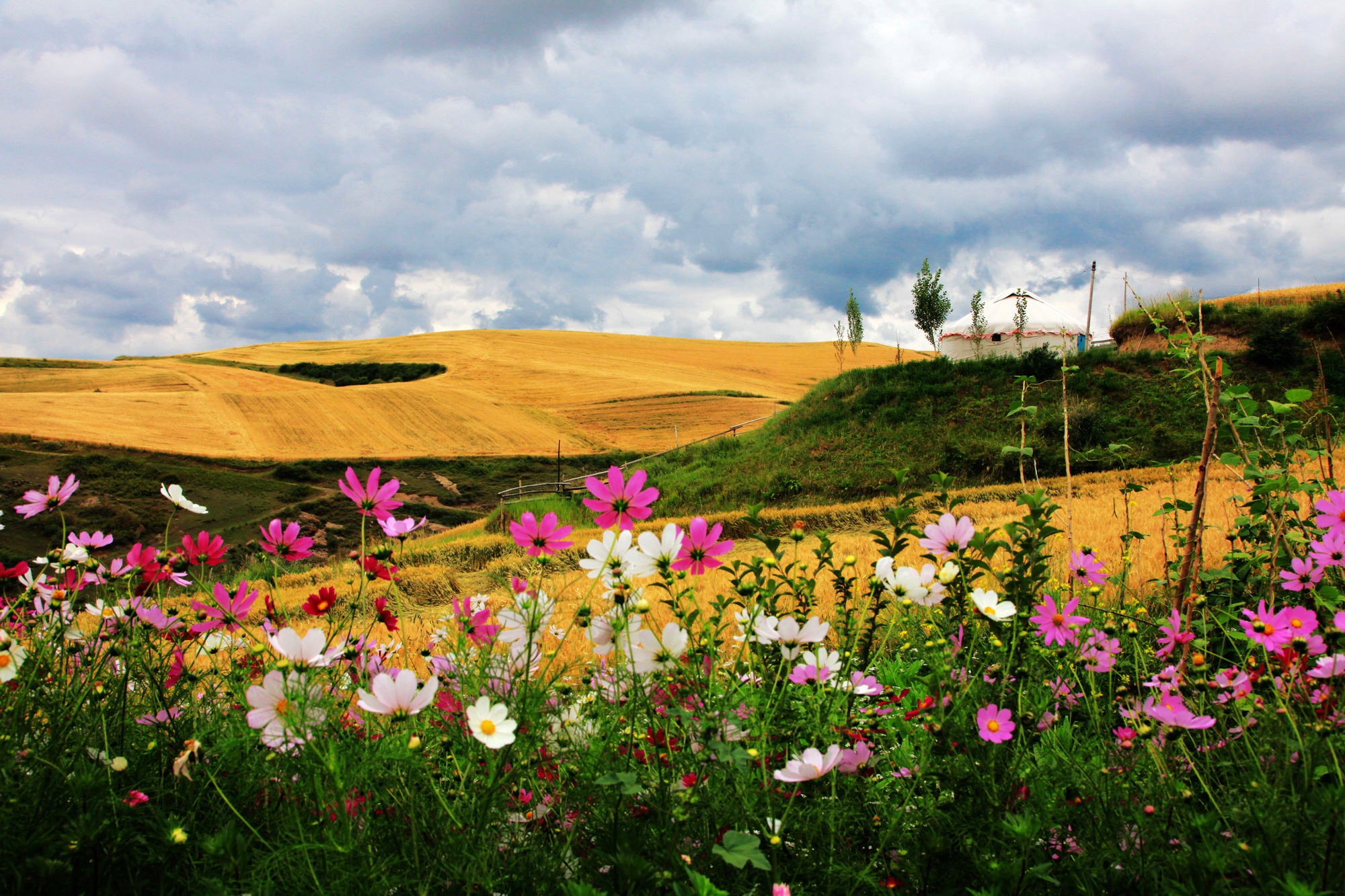澶╁北楹︽捣,鏄熺┖涓嬬殑缁濈編绋荤敯姊甸珮
