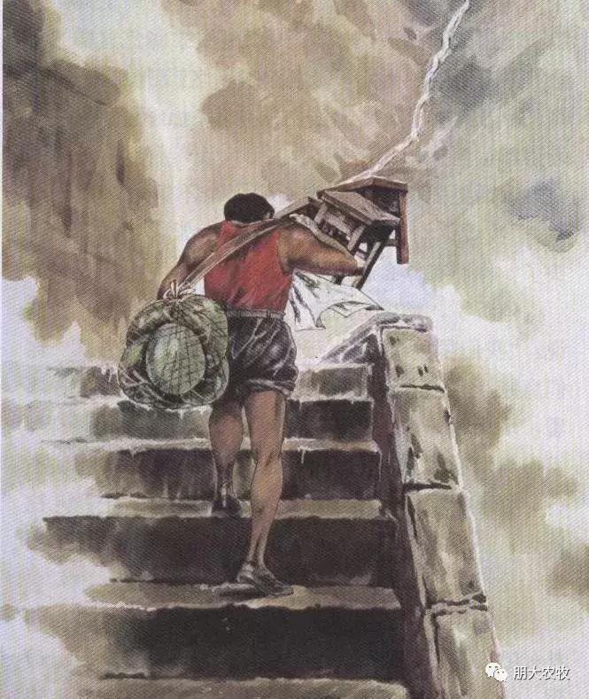 小时候不懂长大了才看懂了,长大了才看懂课文