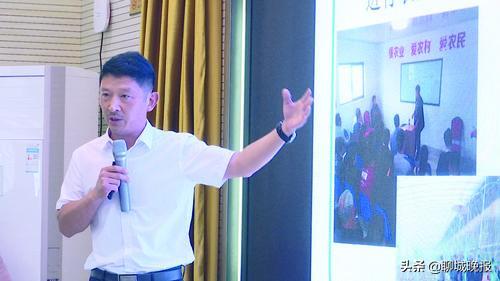 高唐王勇峰,王勇种植辣椒