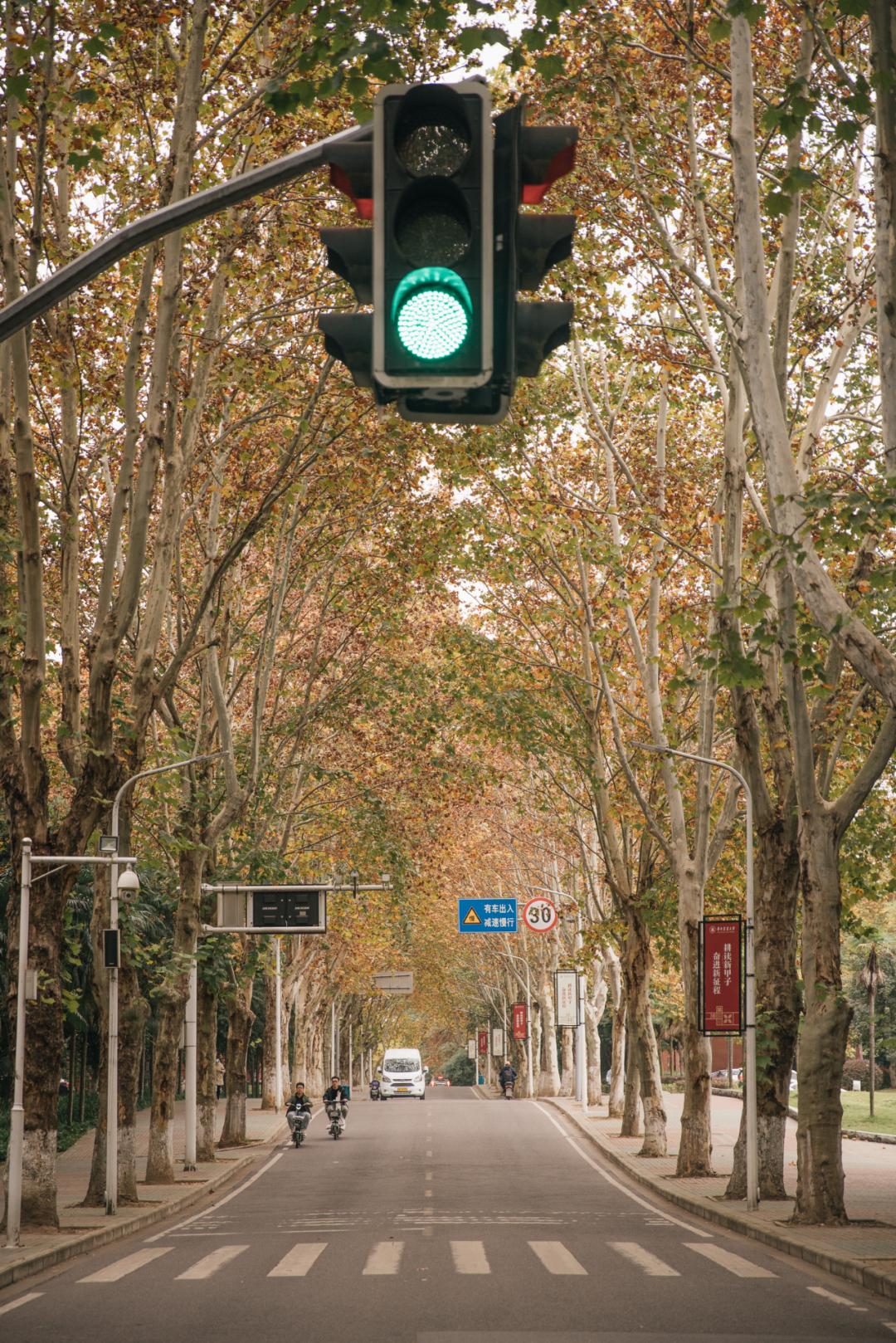 又是全国第一!华中农业大学,全体武汉人的骄傲