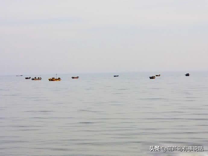 葫芦岛龙湾海滨风景区夜景,葫芦岛海滨国家重点风景名胜区
