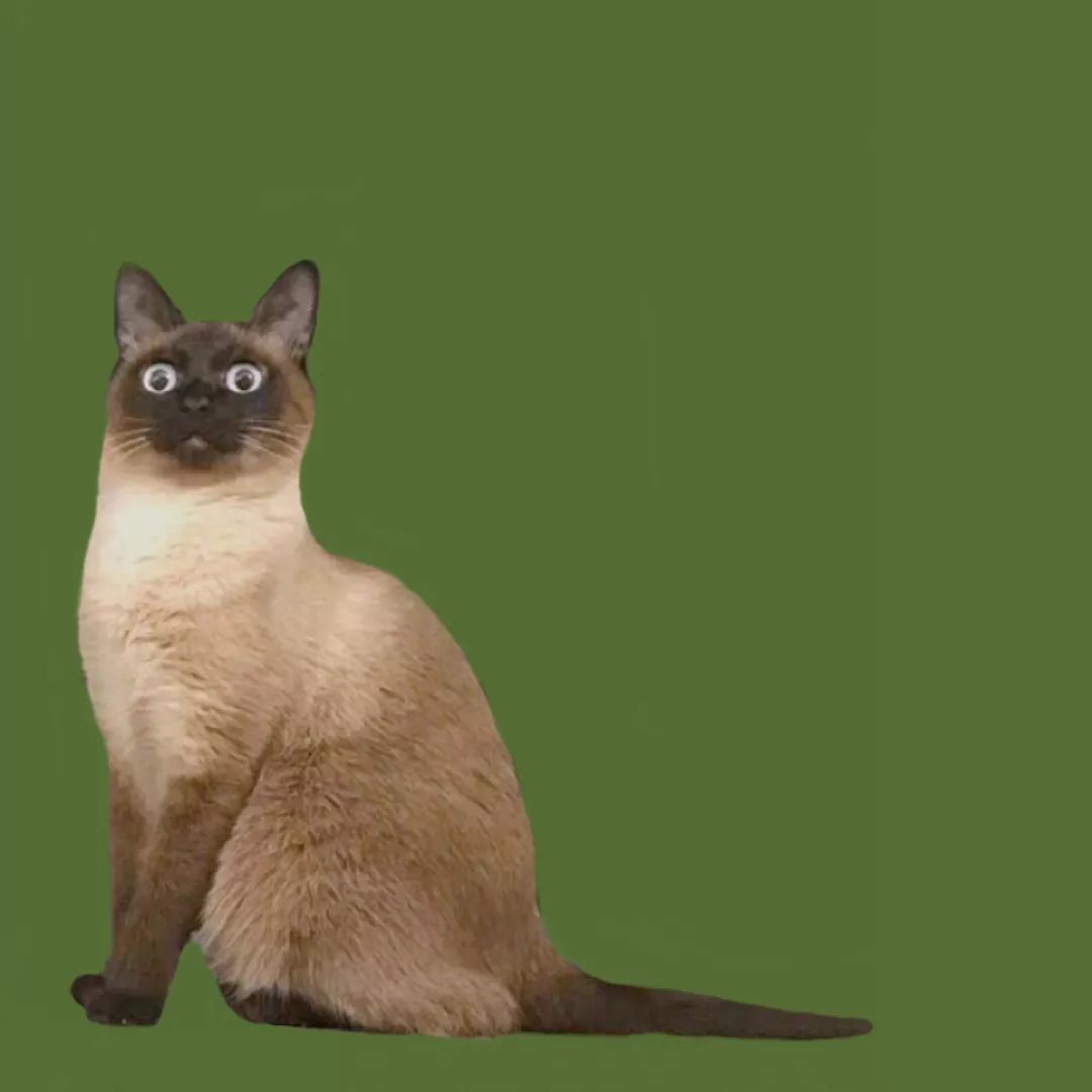 一只鸭子一万五元,一只鸭子一万多