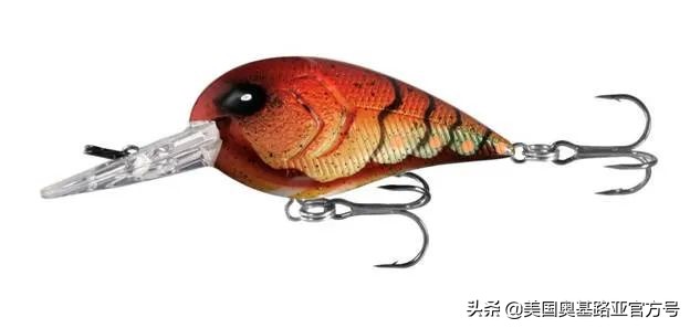 全国各地渔具展,全国渔具展2024