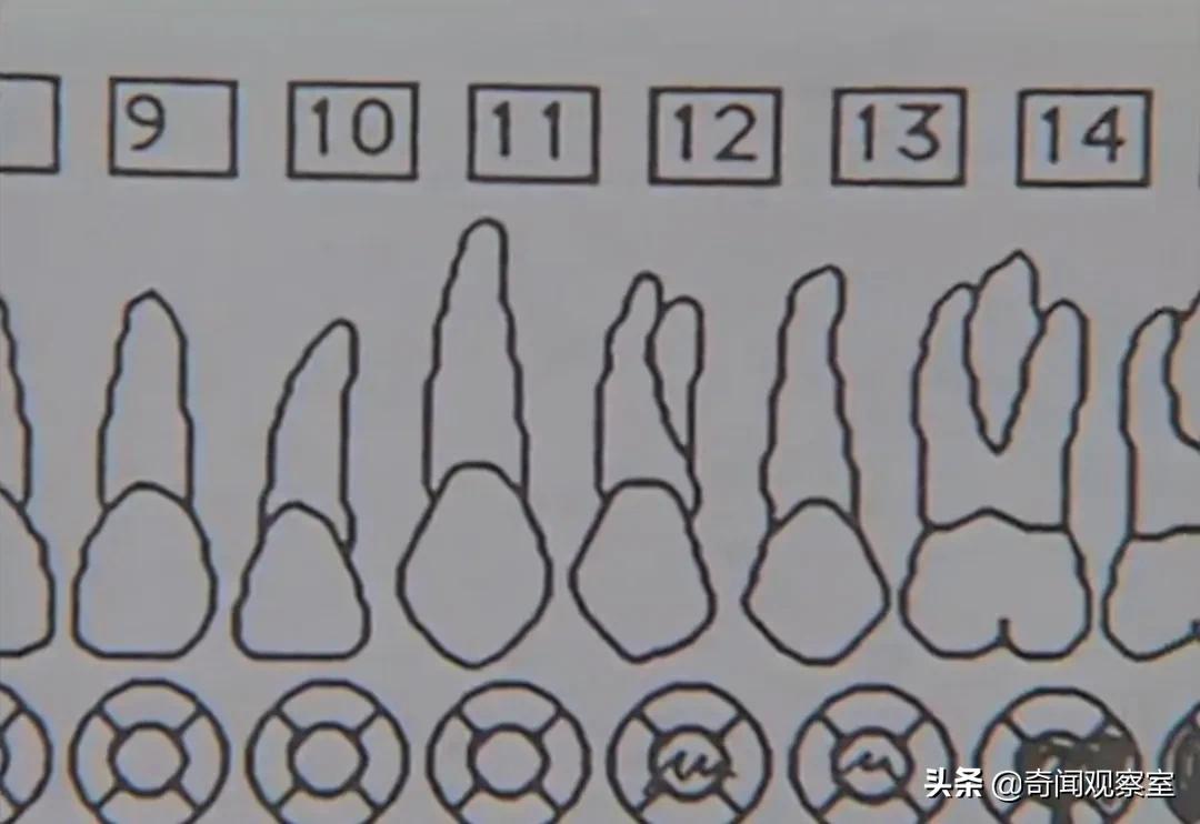 23岁年轻漂亮的女大学生，不为人知的另一面，从乖乖女到伴游女