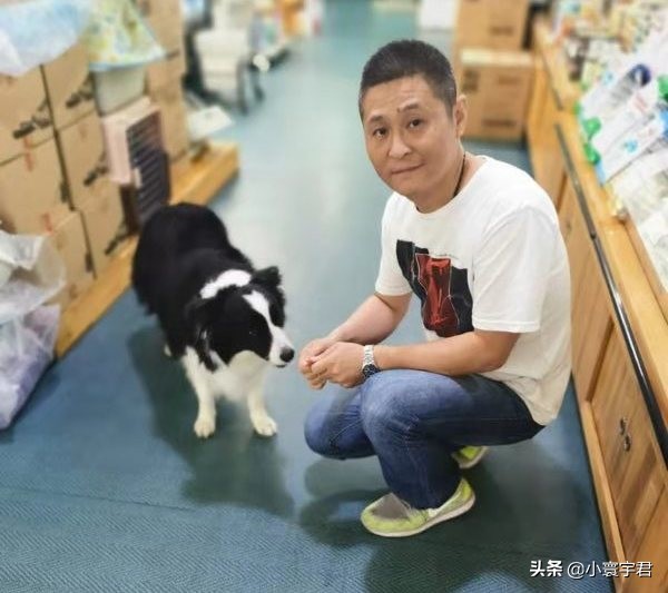 如何用宠物创业开店,创业加盟宠物用品店如何