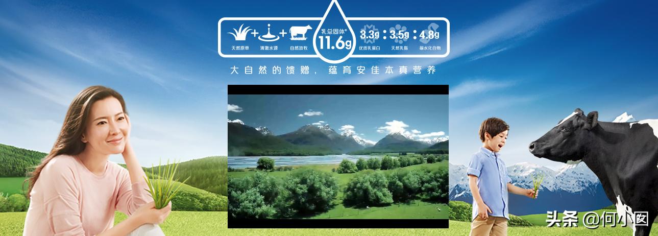 安佳铁塔乐荷总统哪款黄油好,黄油总统安佳