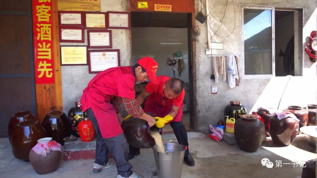 广西乡村振兴带动脱贫,乡村振兴宾阳