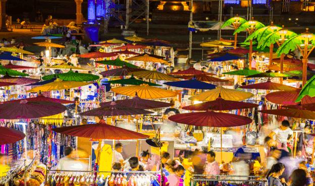 西双版纳泼水节野象谷,西双版纳旅游野象谷全攻略