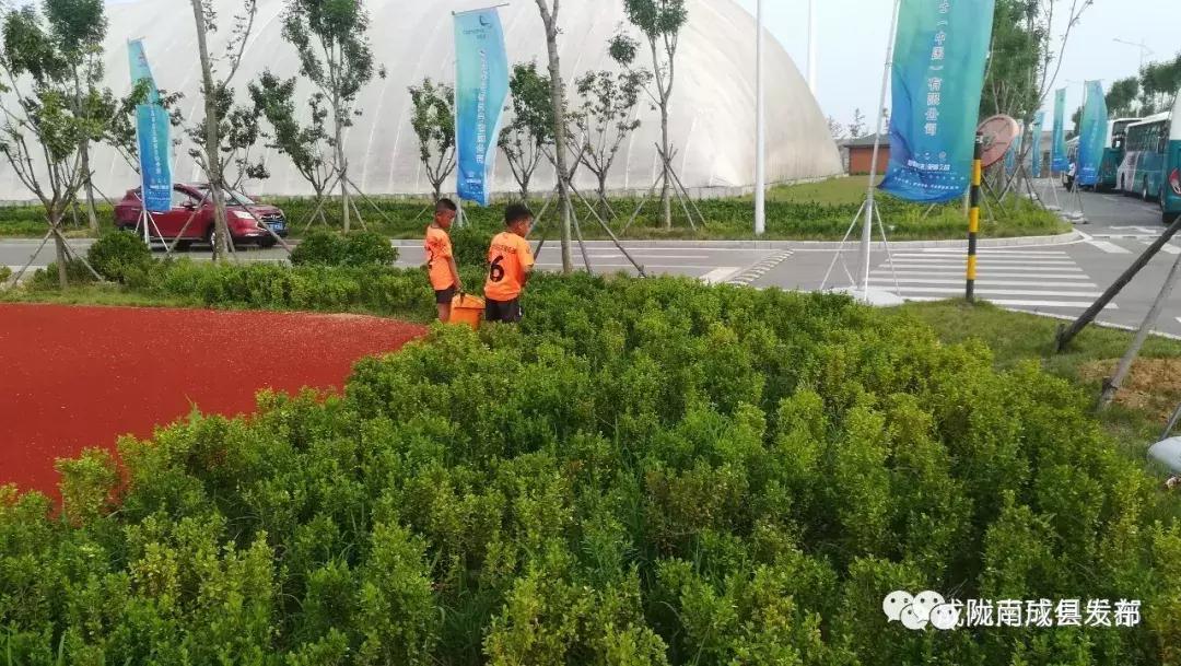 青岛少年足球队华丽转身,足球小将青岛战绩