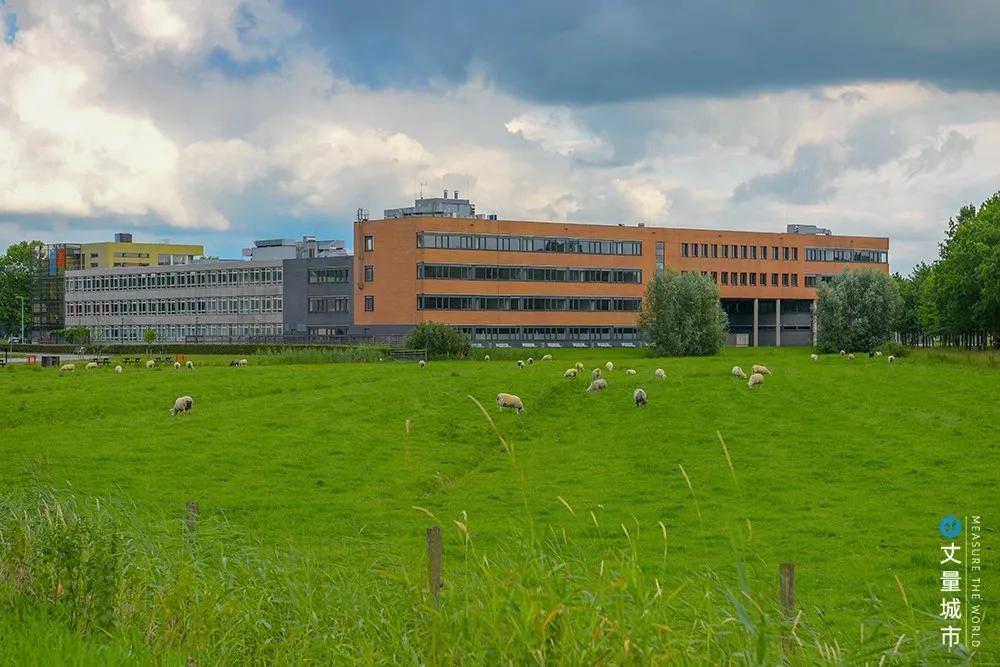 5.16国际牛奶日,每天一杯牛奶强壮中国人