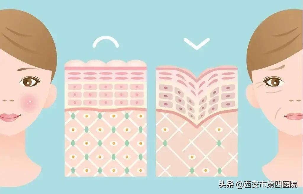 毛孔粗大的正确护肤方法,毛孔粗大正确护肤方法