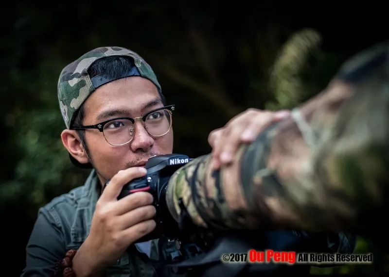 娆ч箯娣卞湷,娆ч箯鍔ㄧ墿涓栫晫